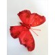 DECOR POZE FLUTURE ROSU DECOR POZE FLUTURE ROSU
