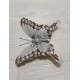 DECOR POZE FLUTURE ARGINTIU DECOR POZE FLUTURE ARGINTIU
