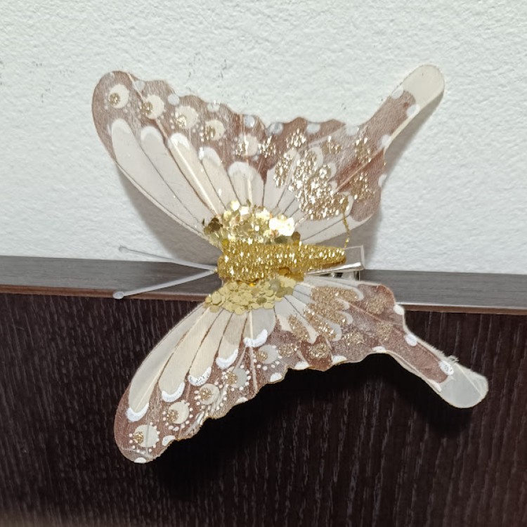 DECOR POZE FLUTURE AURIU DECOR POZE FLUTURE AURIU