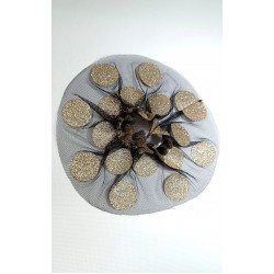 MANSETA DECOR POZE TIUL NEGRU CU BULINE MARI AURII