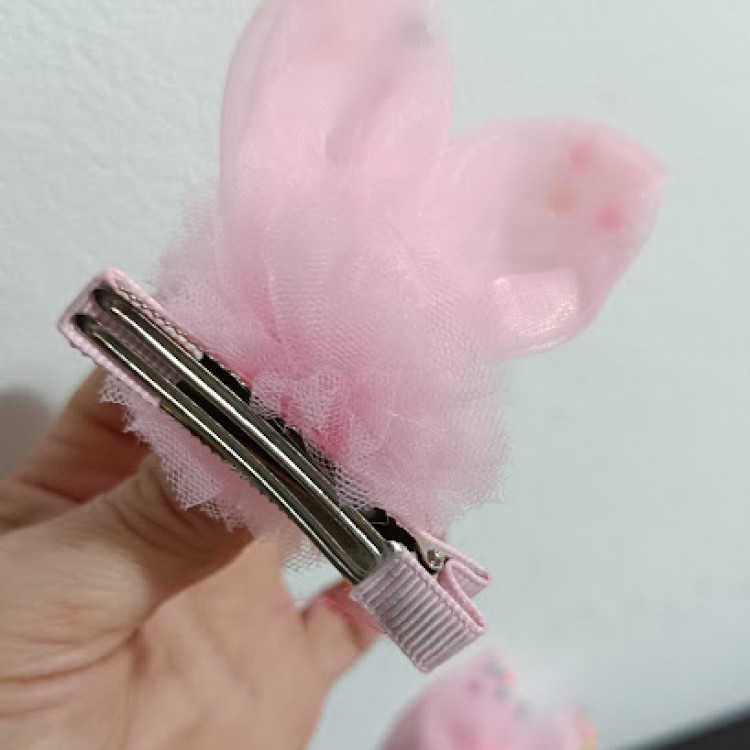 CLEME DE PAR IEPURAS