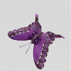 DECOR POZE FLUTURE MOV